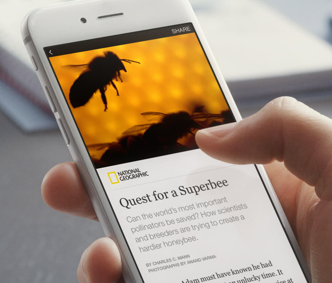 Facebook Instant Articles